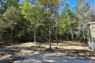1110 NE 122nd Ave, Williston, FL 32696 - Photo 21