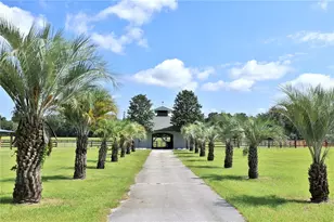 14285 N US Hwy 441, Citra, FL 32113 - Photo 55