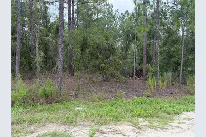 00 SW 131 Avenue, Ocala, FL 34481 - Photo 1