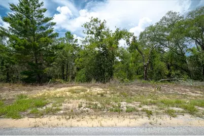 6830 N Sandborn Loop, Citrus Springs, FL 34433 - Photo 13