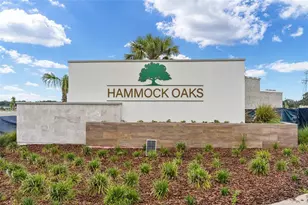 1183 Turtle Is Rd, Lady Lake, FL 32159 - Photo 53