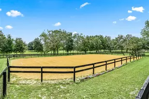 14356 SW 101st Ln, Dunnellon, FL 34432 - Photo 45