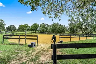 14356 SW 101st Ln, Dunnellon, FL 34432 - Photo 43