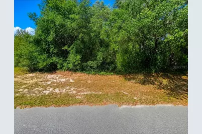 Sw 164th Place Road, Ocala, FL 34473 - Photo 1