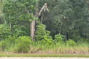 SE 112 Terrace, Ocala, FL 34472 - Photo 1