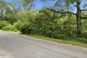 9955 S Forestline Ave, Inverness, FL 34452 - Photo 29