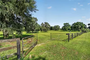 11105 W Hwy 326, Ocala, FL 34482 - Photo 59