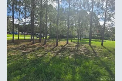 2590 N Brentwood Circle, Lecanto, FL 34461 - Photo 3