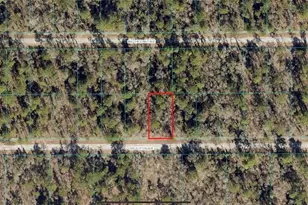 00 NW Sutton Ave, Dunnellon, FL 34431 - Photo 1