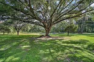 15020 W Hwy 328, Ocala, FL 34482 - Photo 7