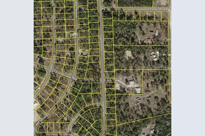 Blk 1222 Lot 14 Fisher Lane Way, Ocklawaha, FL 32179 - Photo 1
