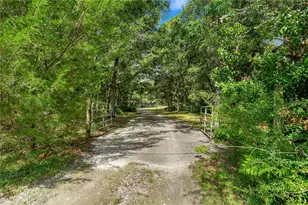 7850 NE 178th Terrace, Williston, FL 32696 - Photo 9