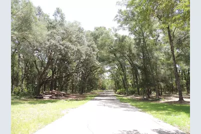 7850 NE 178th Terrace, Williston, FL 32696 - Photo 5