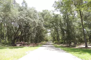 7850 NE 178th Terrace, Williston, FL 32696 - Photo 5
