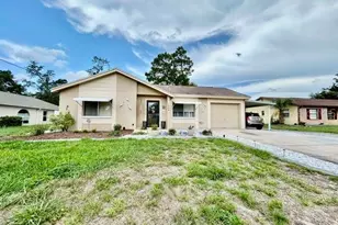 3205 Harrow Rd, Spring Hill, FL 34606 - Photo 1