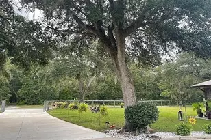9068 131st Loop, Live Oak, FL 32060 - Photo 3