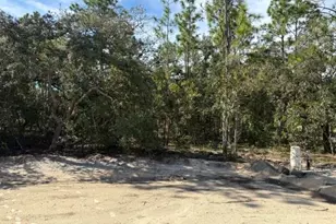 12188 SW 81st St, Dunnellon, FL 34432 - Photo 19