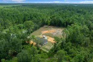 8500 E Hwy 318, Citra, FL 32113 - Photo 19