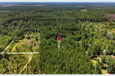 7320 NE 137th Place, Citra, FL 32113 - Photo 9
