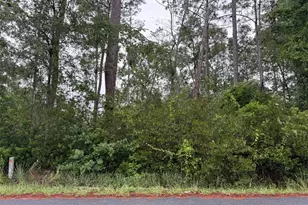 Tbd Redwood Track Course, Ocala, FL 34472 - Photo 1