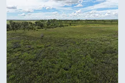 County Line Road E, Fort Meade, FL 33841 - Photo 15