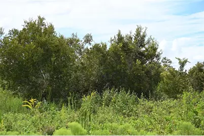 County Line Road E, Fort Meade, FL 33841 - Photo 11