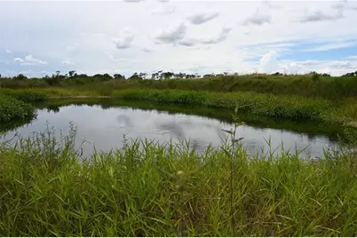 County Line Road E, Fort Meade, FL 33841 - Photo 19