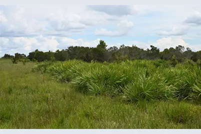 County Line Road E, Fort Meade, FL 33841 - Photo 21
