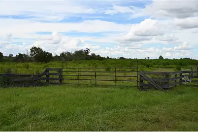 County Line Road E, Fort Meade, FL 33841 - Photo 5