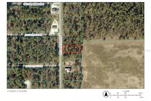 0 NW Buena Vista Rd, Dunnellon, FL 34431 - Photo 1