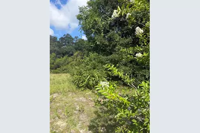 5967 NE 63rd Street, Silver Springs, FL 34488 - Photo 15