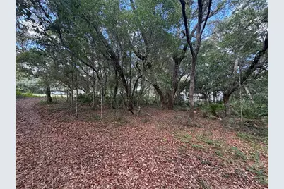 5967 NE 63rd Street, Silver Springs, FL 34488 - Photo 11