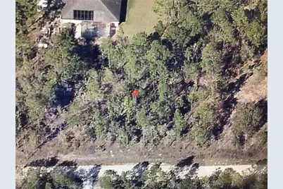 0 80 Street, Dunnellon, FL 34432 - Photo 5