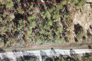 0 80 St, Dunnellon, FL 34432 - Photo 1
