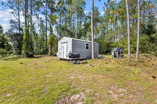 390 NE 137th Ave, Williston, FL 32696 - Photo 25