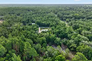 4500 SW Freshwater Ct, Dunnellon, FL 34431 - Photo 59