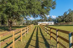 3291 SE 188 Terrace, Morriston, FL 32668 - Photo 1