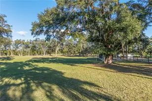 3291 SE 188 Terrace, Morriston, FL 32668 - Photo 33
