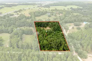 840 N Obrien Point, Lecanto, FL 34461 - Photo 51