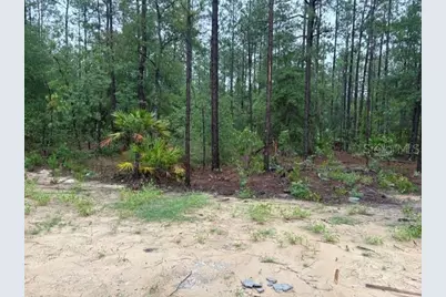 13510 SW 64th Street Road, Ocala, FL 34481 - Photo 9
