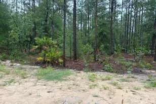 13510 SW 64th Street Rd, Ocala, FL 34481 - Photo 9