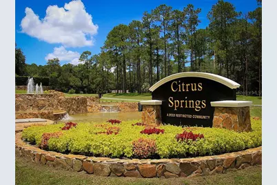 8427 N Inca Way, Citrus Springs, FL 34434 - Photo 7