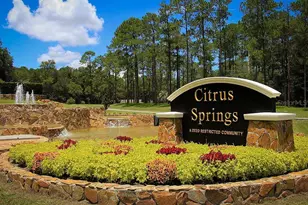 8427 N Inca Way, Citrus Springs, FL 34434 - Photo 7