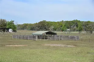 6482 SE 55th St, Trenton, FL 32693 - Photo 57