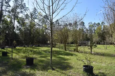 6482 SE 55th Street, Trenton, FL 32693 - Photo 15