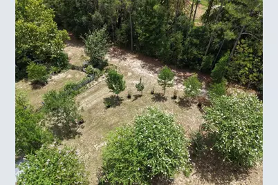 6482 SE 55th Street, Trenton, FL 32693 - Photo 11