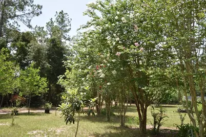 6482 SE 55th Street, Trenton, FL 32693 - Photo 73