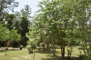 6482 SE 55th St, Trenton, FL 32693 - Photo 73