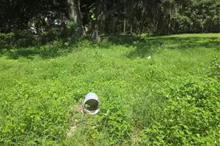 11647 SE 60th Ave, Belleview, FL 34420 - Photo 15