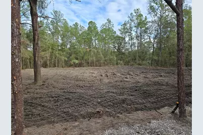 Ne 127th Court, Williston, FL 32696 - Photo 1